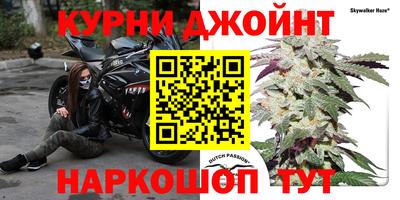 дмт Новодвинск
