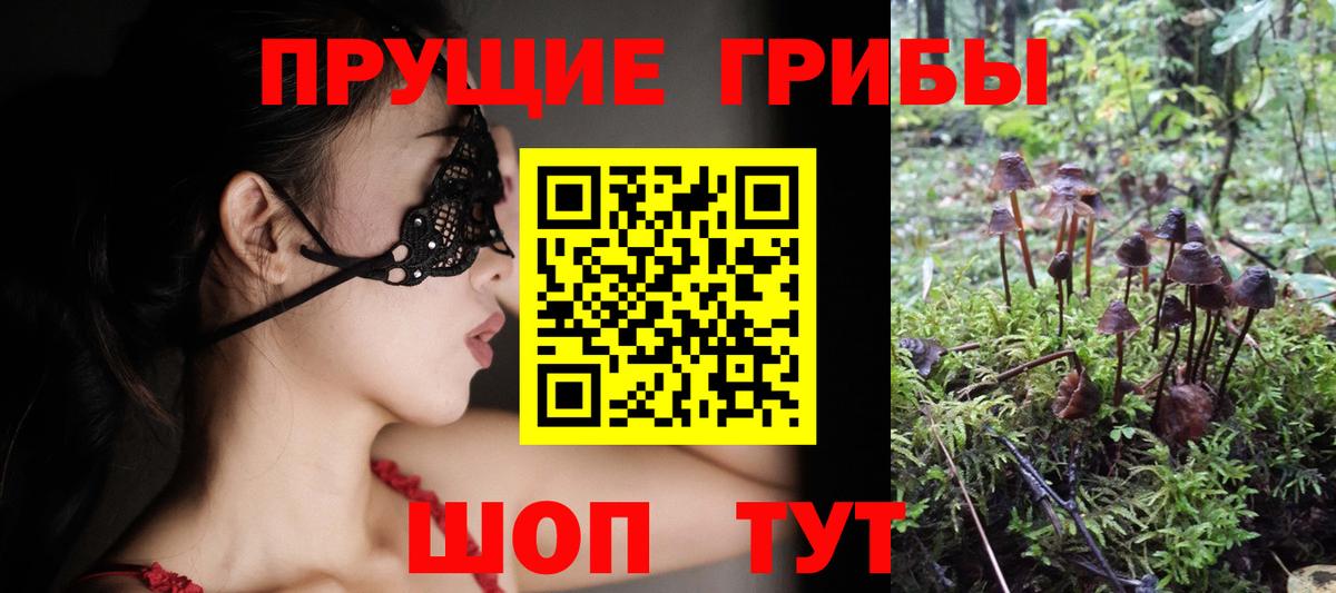 Галлюциногенные грибы Cubensis  Псилоцибиновые грибы мухоморы  Сертолово  Вход с VPN 