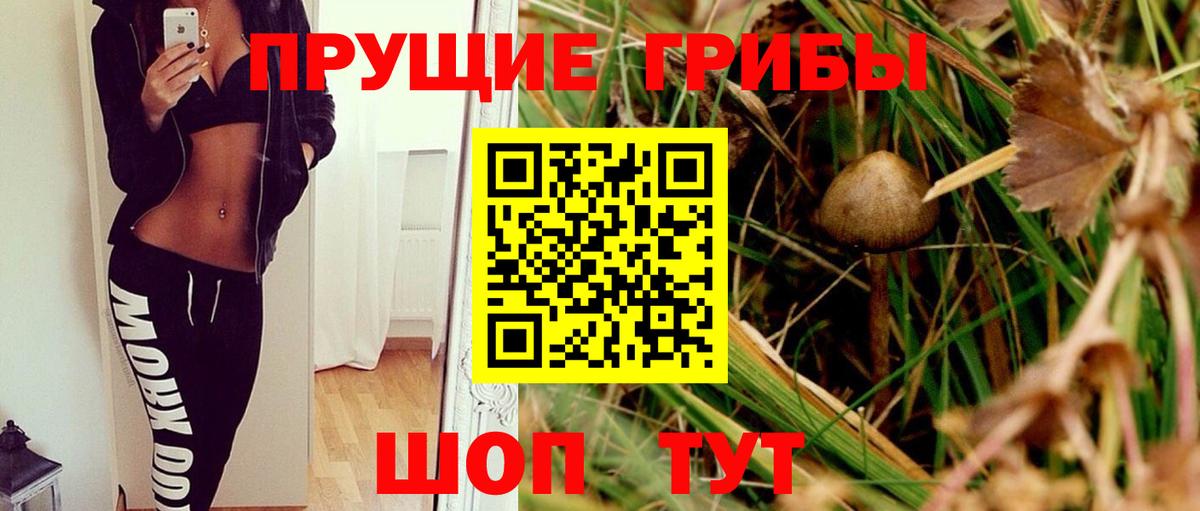 Галлюциногенные грибы GOLDEN TEACHER Сертолово
